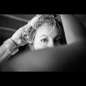 Bird Cage Wedding Veil